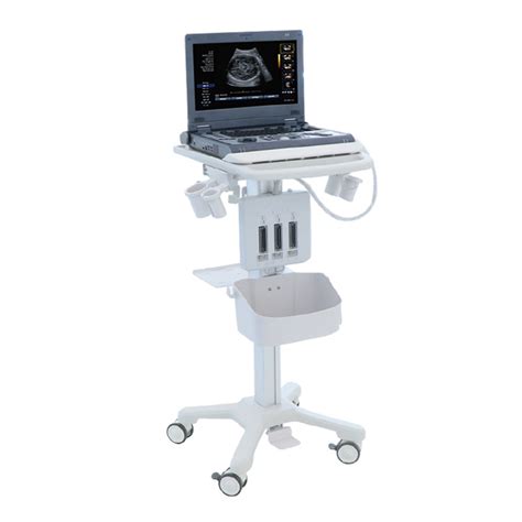 Portable Ultrasound Scan Trolley 3d4d Ultrasound Equipment For Obgyn