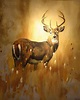 有哪些你觉得好看的以“鹿”为主题的壁纸。？ - 知乎