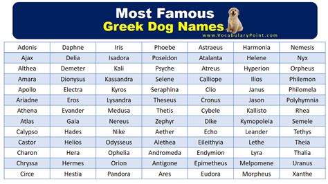 250 Most Popular Greek Dog Names Vocabulary Point