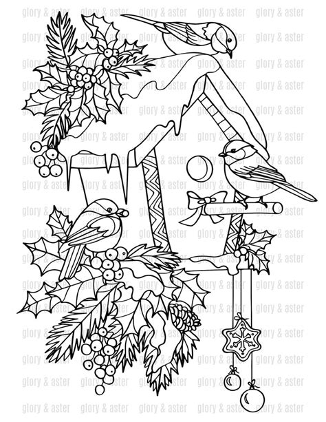 Winter Birds Coloring Pages Printable Adult Coloring Pages Wreath