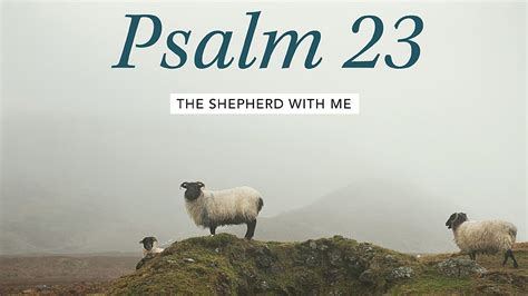 Psalm Bible Study