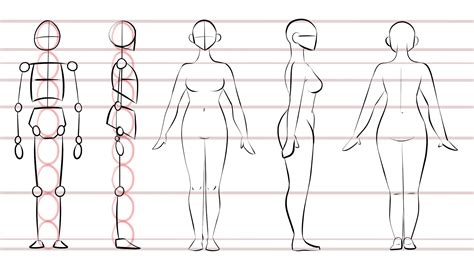 How To Draw Female Anatomy Aimsnow