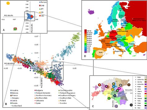 Genetic Distances In Europe Dna Test Europe Genealogy