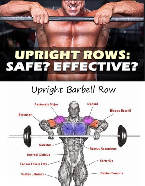 Upright Rows Shoulder Workout Upright Barbell Row Exercise