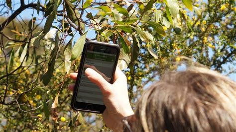 Live Sustainably Climatewatch Australia Citizen Science App