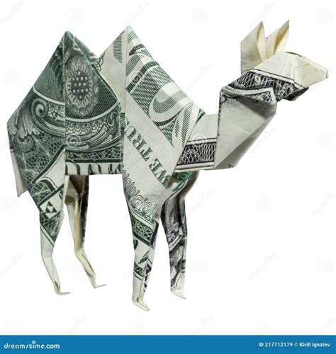 Money Origami Perspective View Of Camel Left Side Folded With Real One