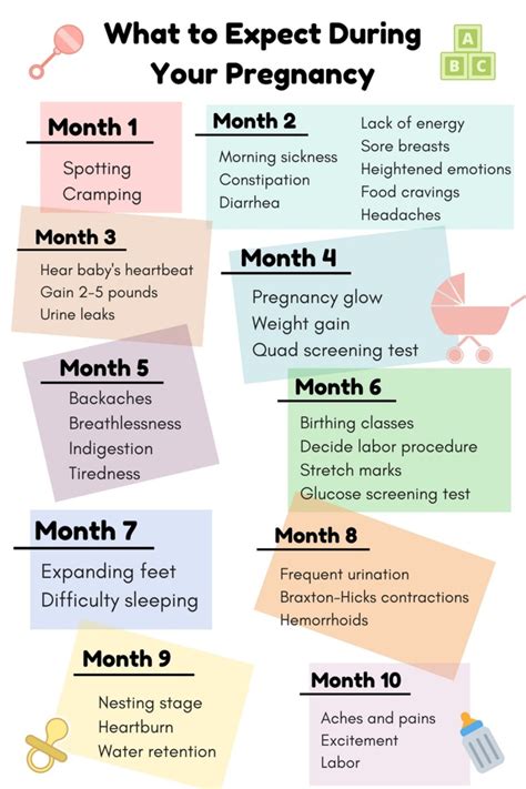 How Far Along Am I In My Pregnancy Your Week By Week Pregnancy