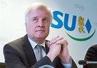Gefährdet CSU-Affäre die erhoffte Dominanz?: Seehofer begräbt ...