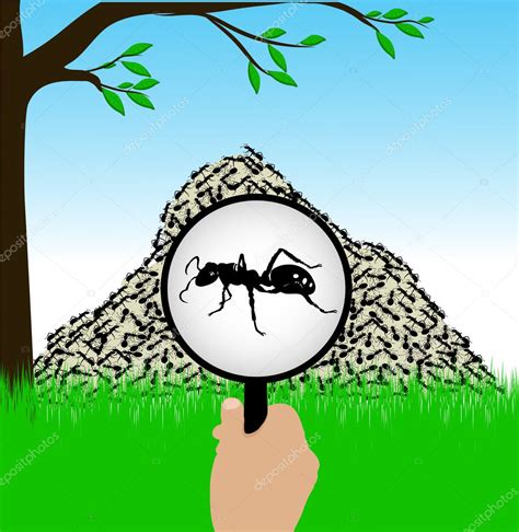 Ant Under A Magnifying Glass — Stock Vector © Matc 24943243