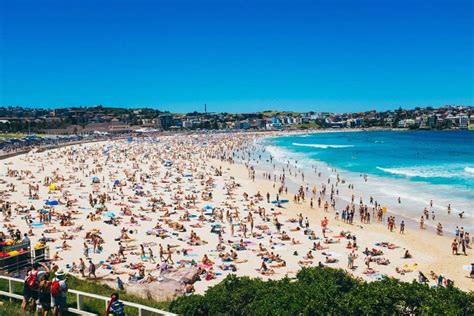 Best Beaches In Sydney Bondi Serviced Apartments