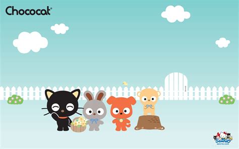 Chococat | Our Characters - Sanrio | Sanrio characters, Hello kitty, Cute characters