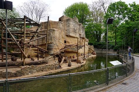 We did not find results for: Zoologischer Garten Köln | Objektansicht