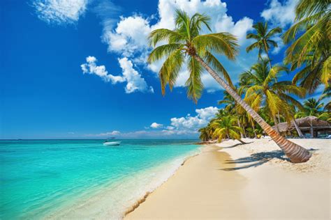 Tropical Vacations Top 10 Tropical Vacations Tropical Beaches