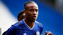 Bobby Reid & Harrison Reed: Fulham sign Cardiff City forward ...