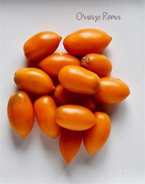 Tomato Orange Roma Seedfreaks