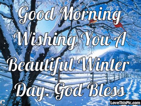 Good Morning Wishing You A Beautiful Winter Day Pictures Photos And