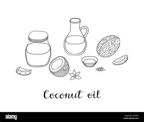 Hand Drawn Outline Coconut Oil In Glass Bottles And Raw Cocos Isolated