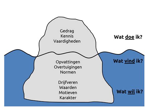 Reflecteren Met Een Ijsberg Reflectiesite