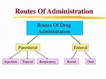 Routes Of Administration