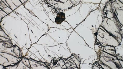 Cordierite In Thin Section Fkm 23 Ppl On Vimeo