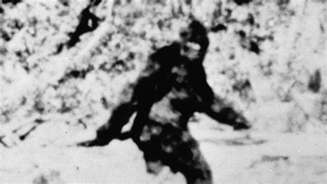 Fbi Releases Bigfoot Files Vermont Has A History Of Sightings