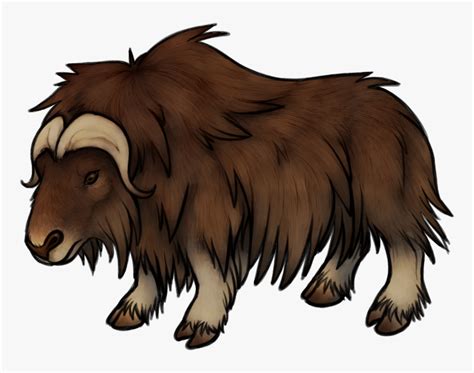 Musk Ox Drawing At Getdrawings Musk Ox Transparent Background Hd Png
