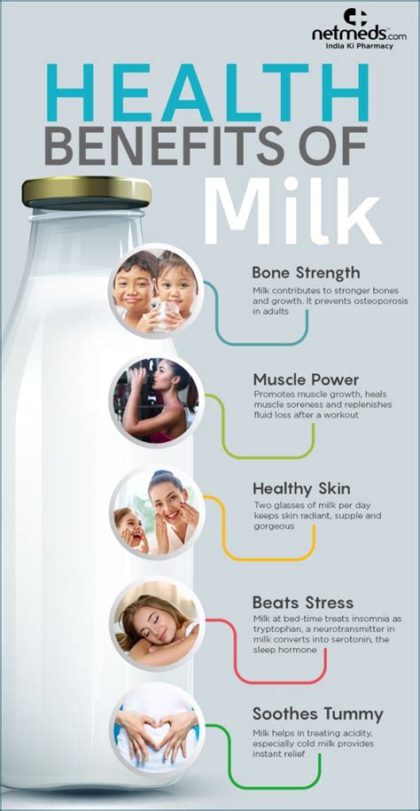 World Milk Day 5 Incredible Benefits Of Milk Infographic