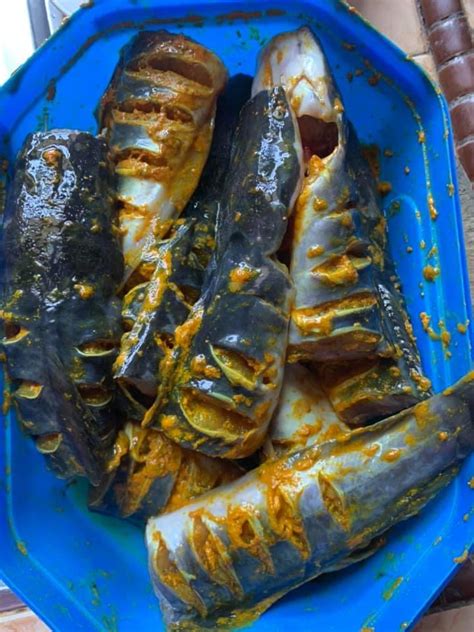Peningkatan harga makanan ikan mendorong ibrahim ahmad, 51 pengusaha ternakan ikan keli menjalankan pelbagai uji kaji bagi menghasilkan makanan terbaik untuk ikan peliharaannya. Rupanya Ini Rahsia Petua Masak Ikan Keli Supaya Tak ...