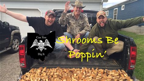 Mushroom Hunting Big Ohio Morels Youtube