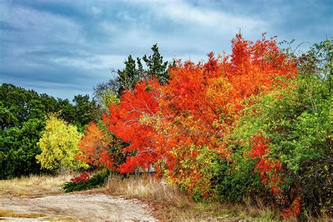 Shades Of Fall In The Hill Country Photograph By Lynn Bauer Fine Art