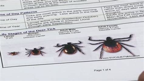 Experts Say Ticks Are On The Rise In Southeast Wisconsin