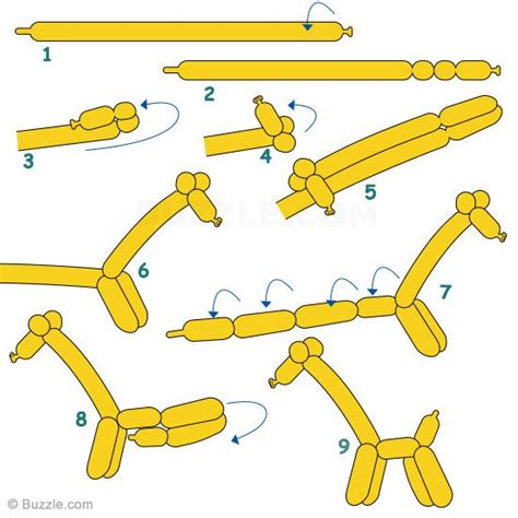 Step By Step Instructions To Make Balloon Giraffe Balloon Animals