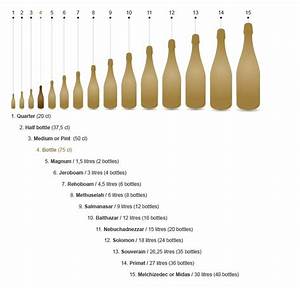 7 Infografías Sobre El Champagne The Big Wine Theory
