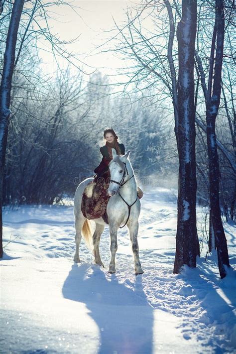 Junge Frau Die Ein Pferd Reitet Stockbild Bild Von Kaukasisch