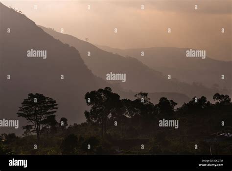 Misty Mountain Sunrise Haputale Sri Lanka Hill Country Nuwara Eliya