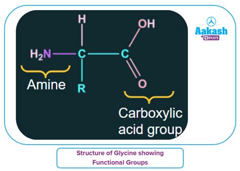 Glycine Structure Properties Uses And Formula Aesl