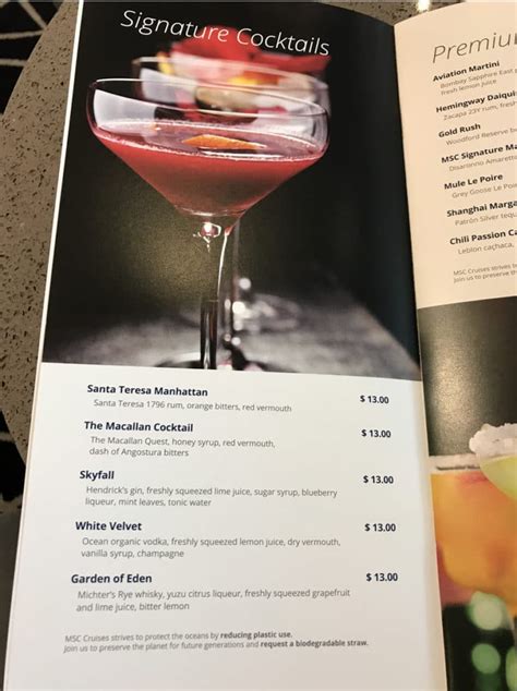 Msc Cruise Drink Menu Lynne Tanitansy