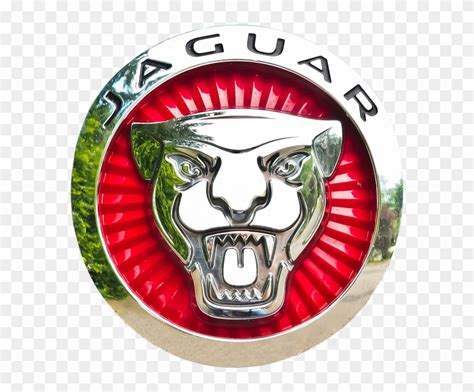 Jaguar Emblem Car Brand Logo Automotive Chrome Jaguar Cars Hd