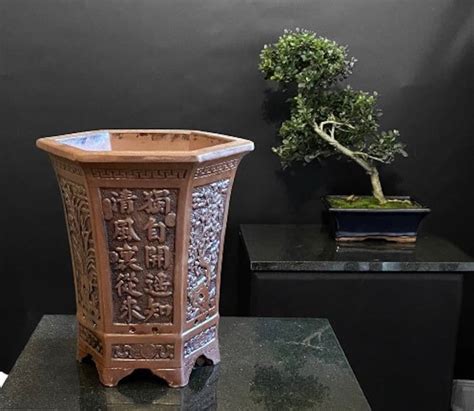 Bonsai Pot Large Cascade Embossed Brown 26 Cm Tall High Etsy