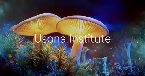 Fda Grants Breakthrough Therapy Designation To Usona Institutes