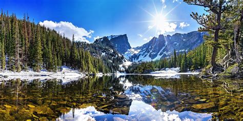 Online Crop Calm Body Of Water In Between Of Pine Trees Under Blue