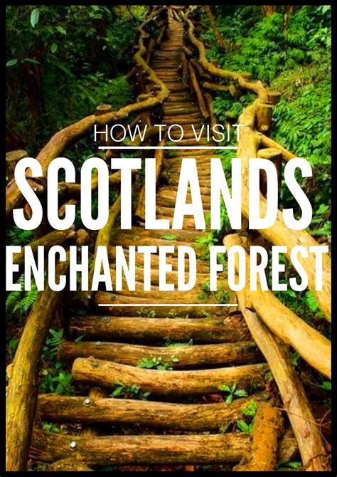 Where How And Why You Must Visit Scotlands Enchanted Forest Hand