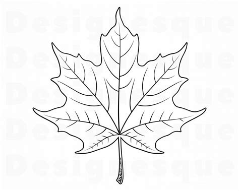 Maple Leaf Outline Svg Maple Leaf Svg Autumn Svg Maple Leaf Etsy