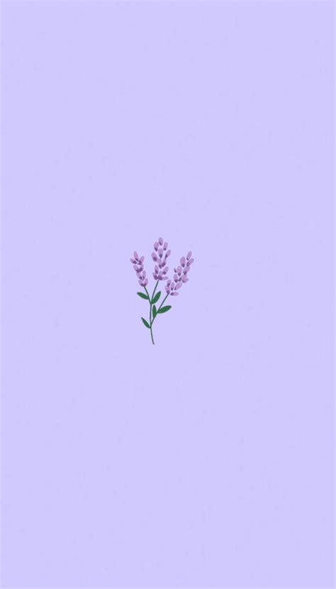 Lavender 🌂 Wallpaper Purple Flowers Wallpaper Simple Iphone