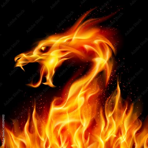 Fire Dragon Stock Vector Adobe Stock
