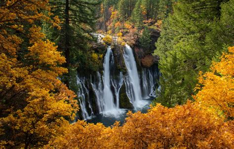 Wallpaper Autumn Forest Trees Ca Waterfalls Cascade California