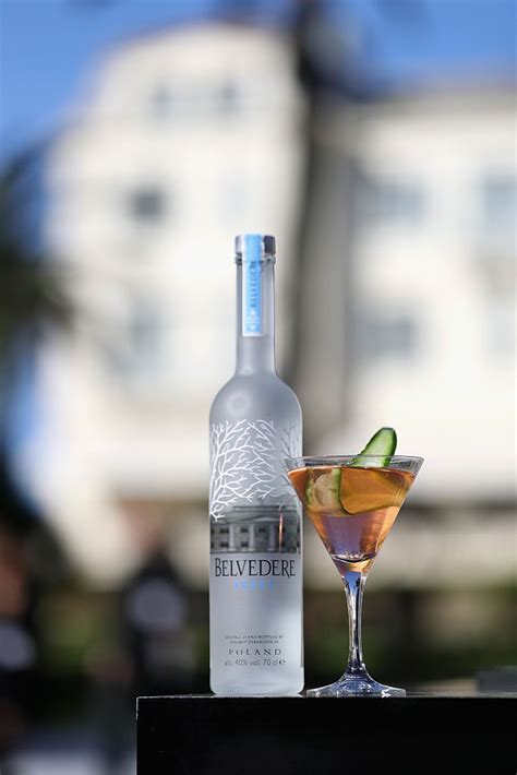 Here are some cheapest booz brands: A Guide to Popular Vodka Brands by Price