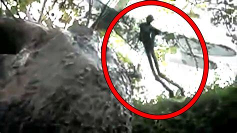 5 Mysterious Creatures Caught On Camera Youtube