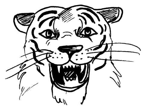 72 Dessins De Coloriage Tigre à Imprimer Sur Page 4