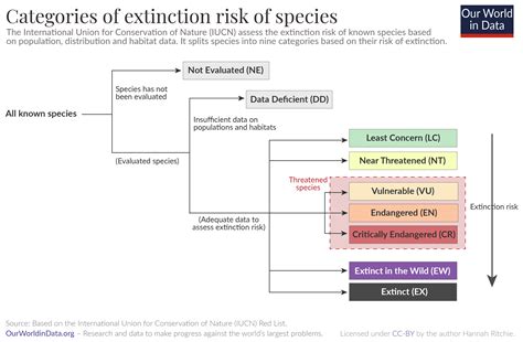 What Does It Mean For A Species To Be At Risk Of Extinction Our